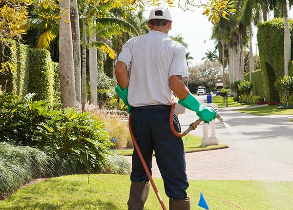 About West York IL Pest Control